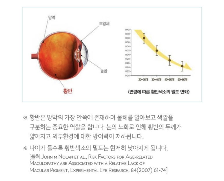 건강지키미 이미지
