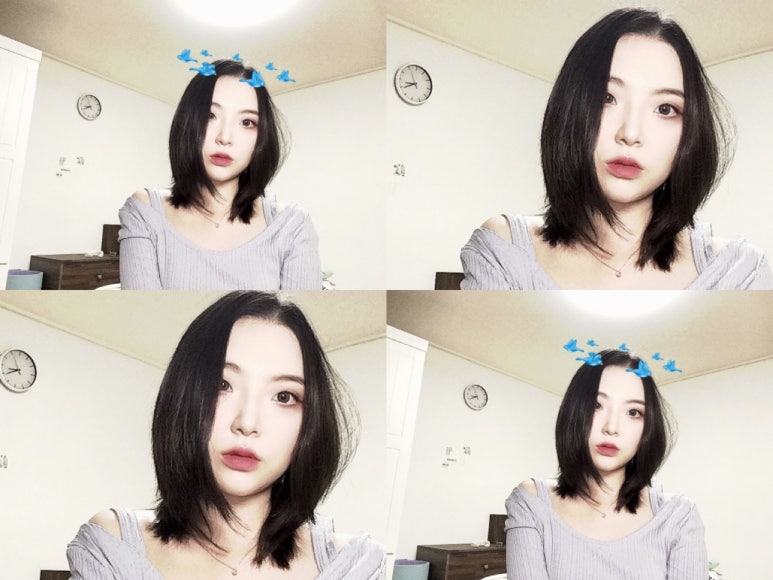 달보드레의달콤한수다 이미지