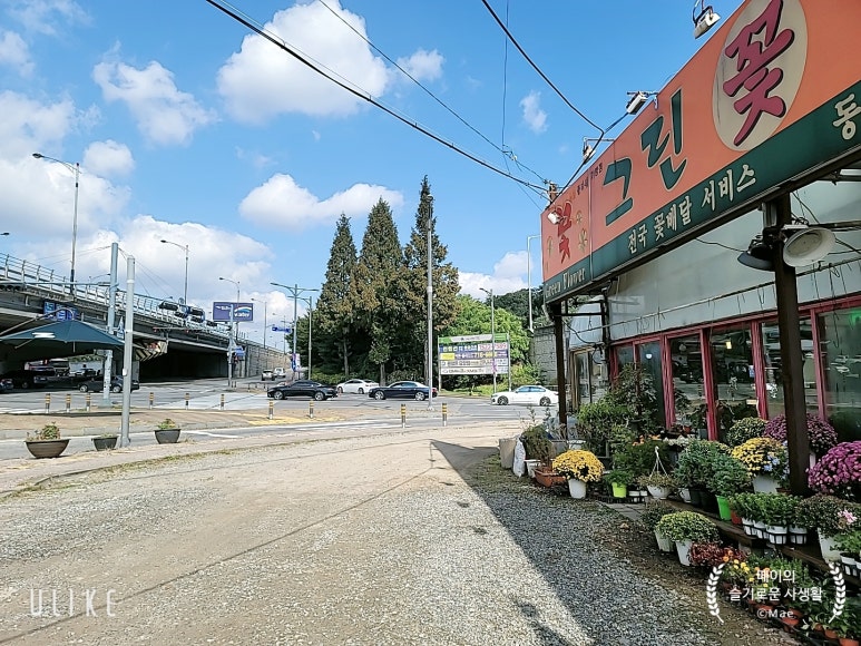 세련꽃농원 이미지