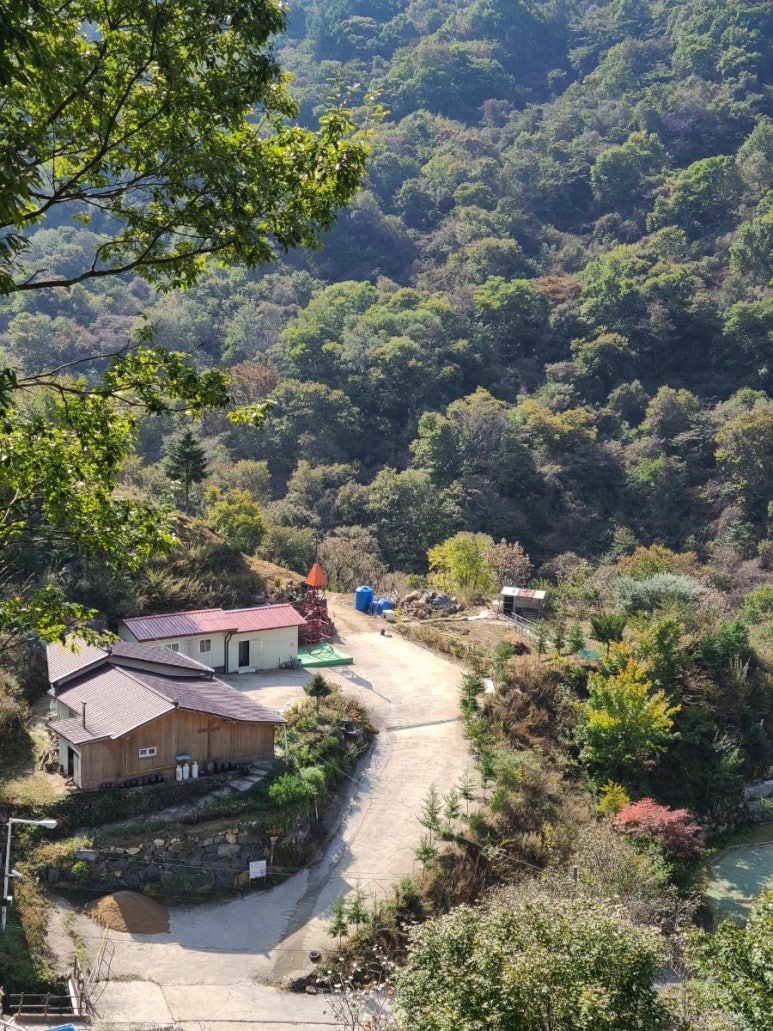 와운통나무산장가든 이미지