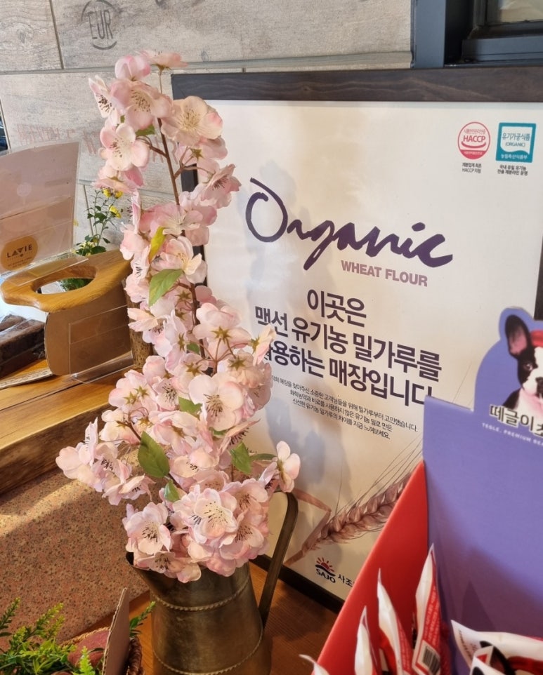 라비베이커리 이미지