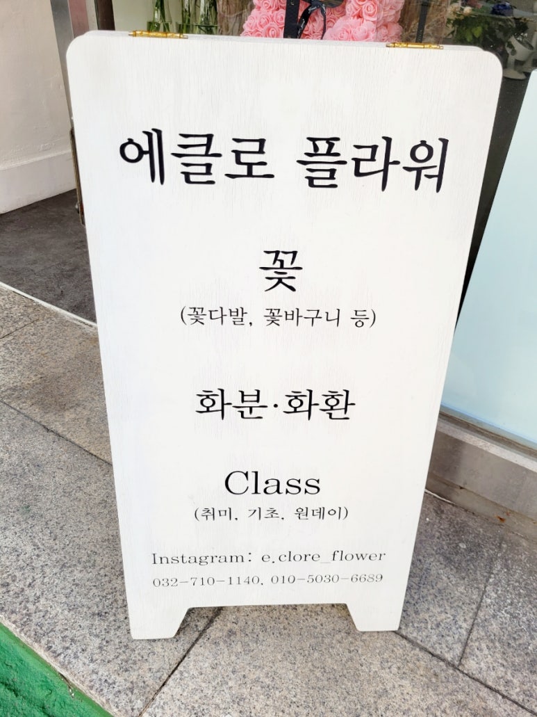 에클로플라워 이미지