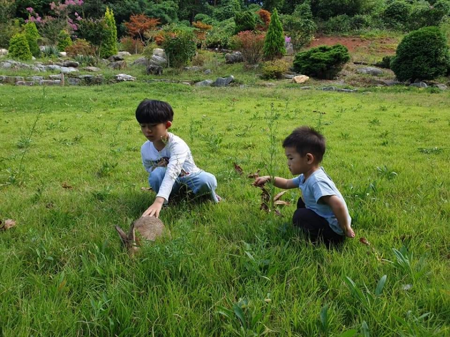 심미안학교 이미지
