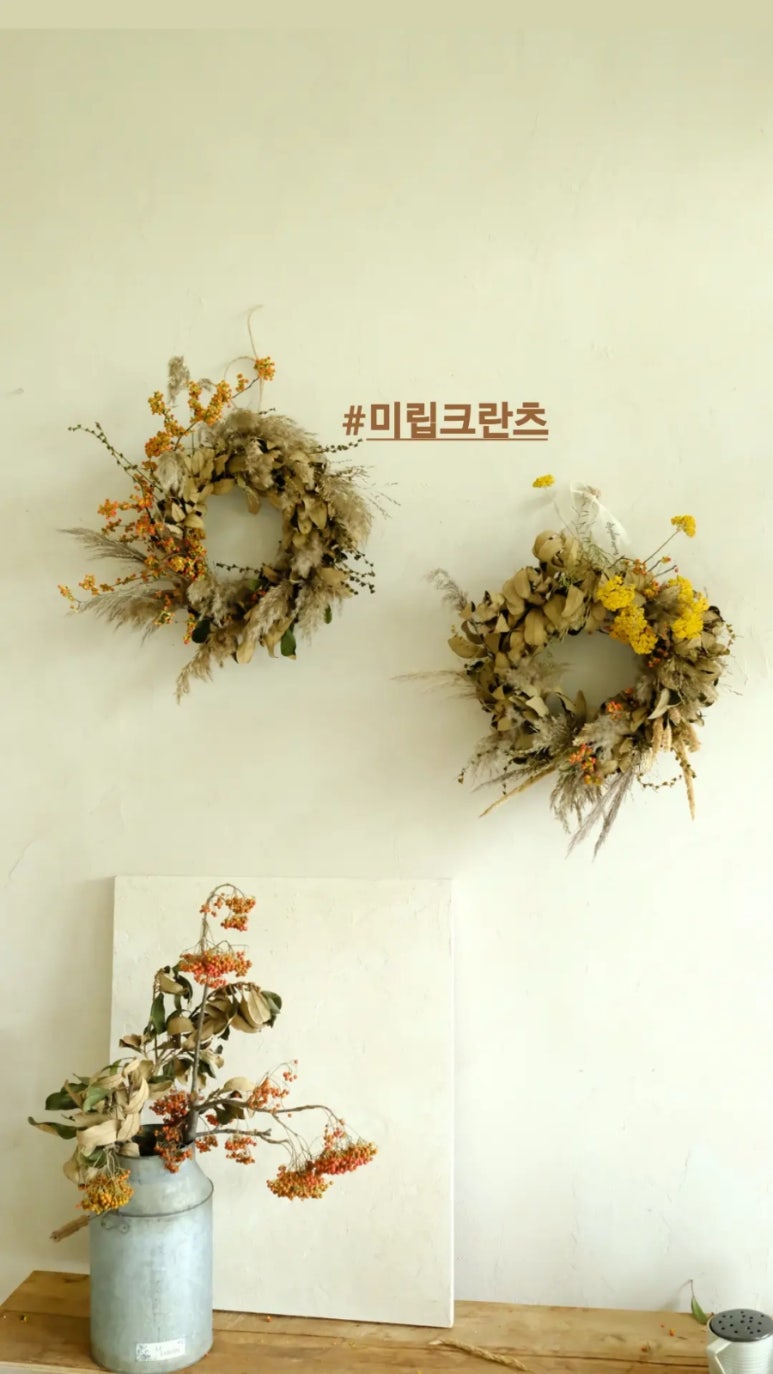 스튜디오미립크란츠 이미지