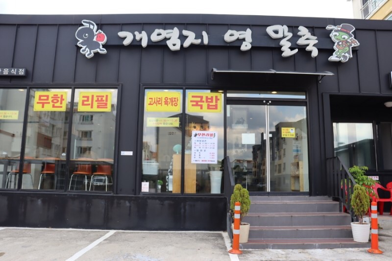 개미와베짱이 사진 8