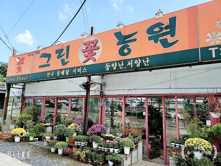 세련꽃농원 이미지