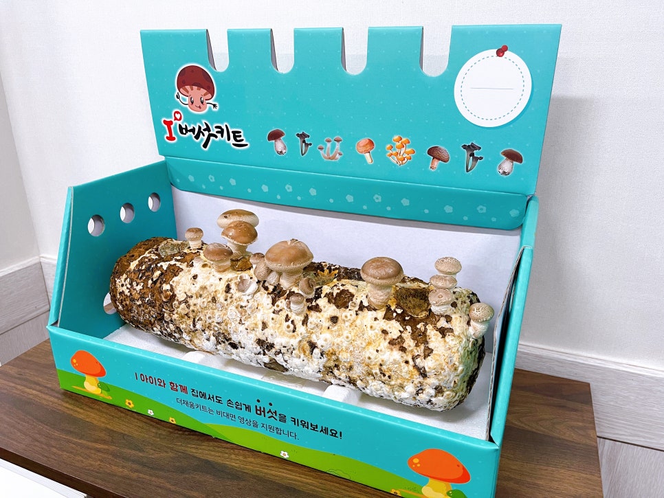 주식회사 채움기술 이미지