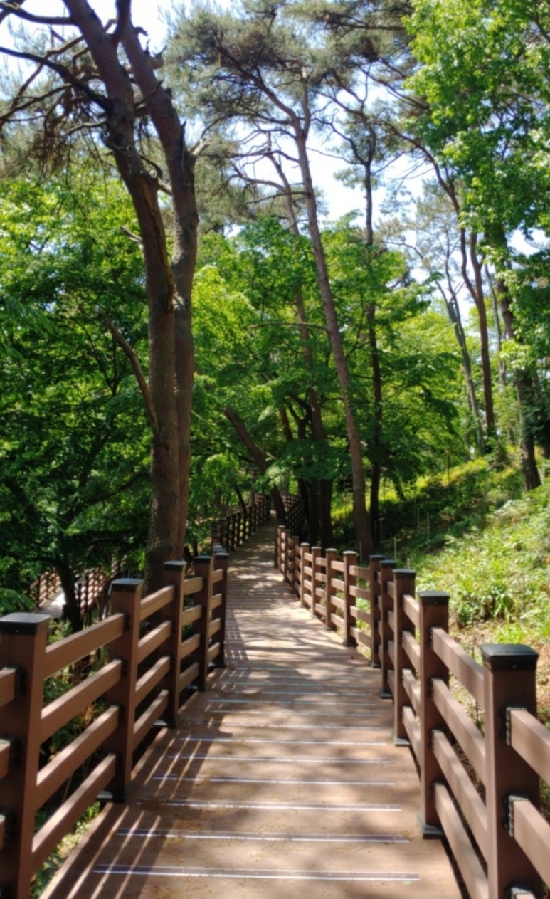 서림공원 유아숲체험원 이미지
