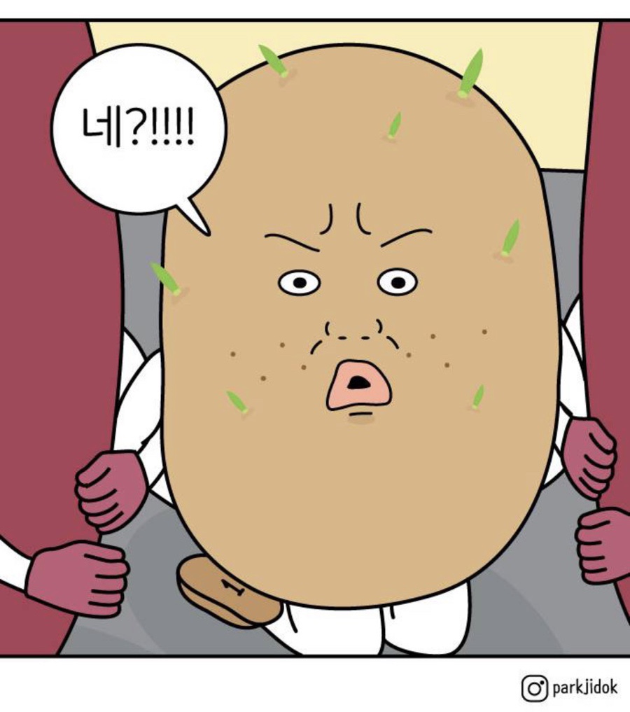 감자마을 이미지