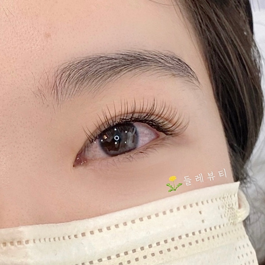 들레뷰티 이미지