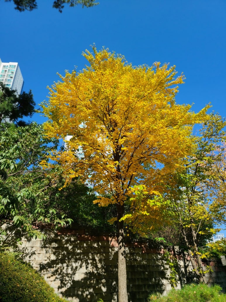 철산상회 이미지