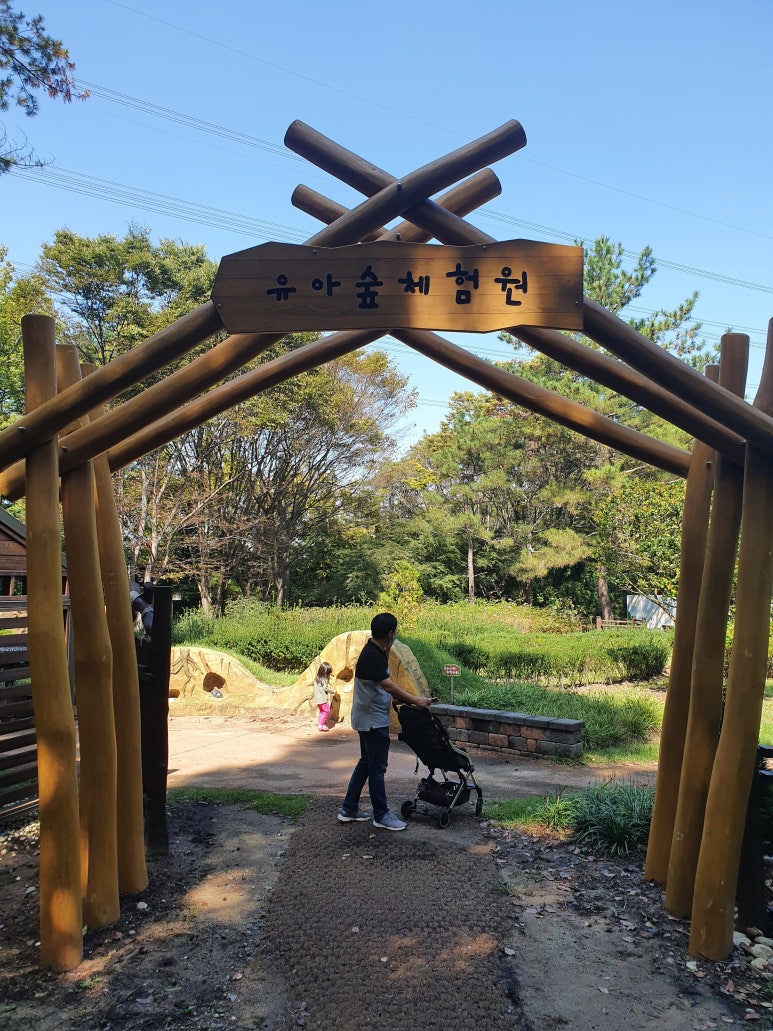 경상남도수목원 유아숲체험원 이미지