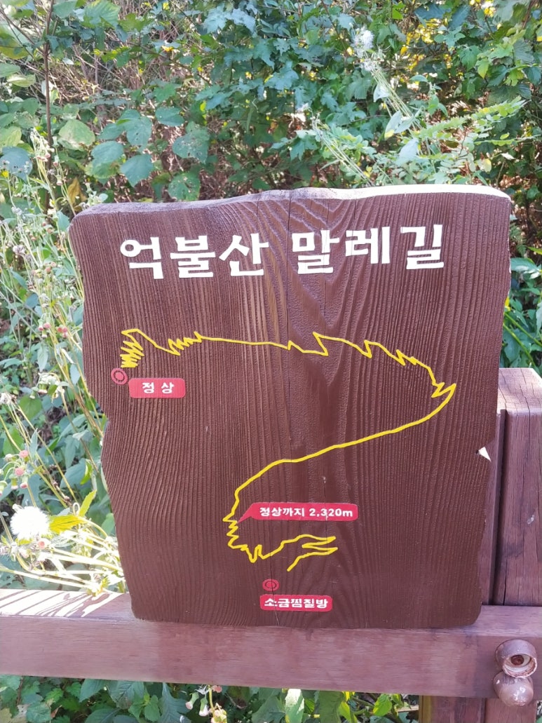 장흥군 청소년수련원 이미지