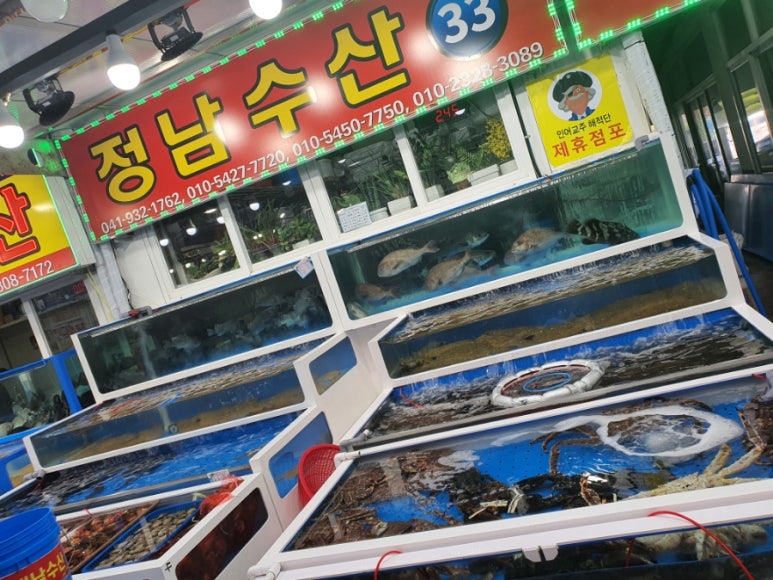 203수산 이미지