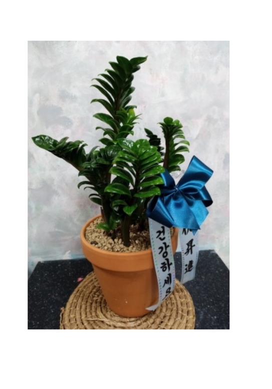 삼부꽃집 이미지