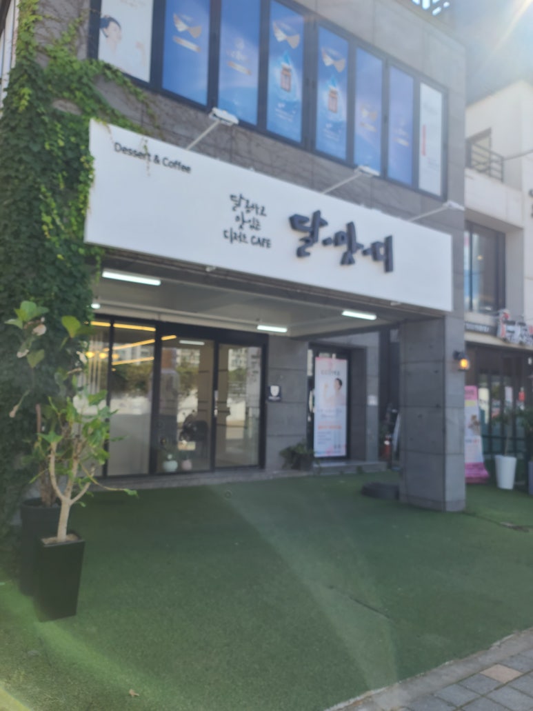 달맛디 이미지