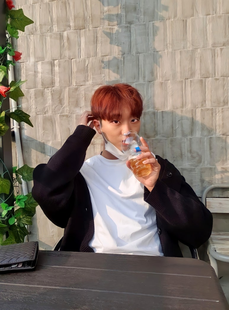 메이븐(MAVEN) 이미지