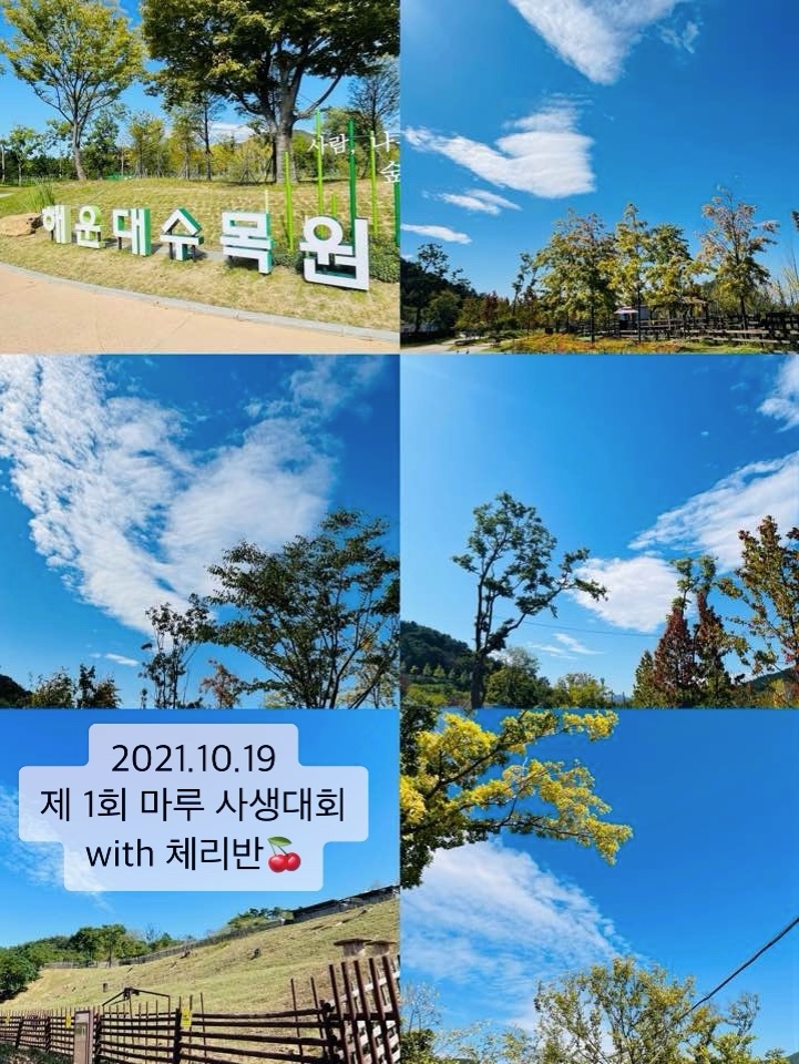 세영방역 이미지