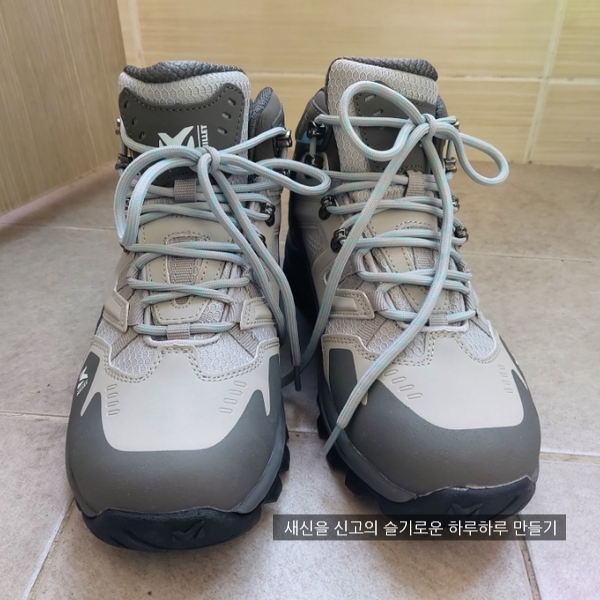 밀레세이브존 이미지