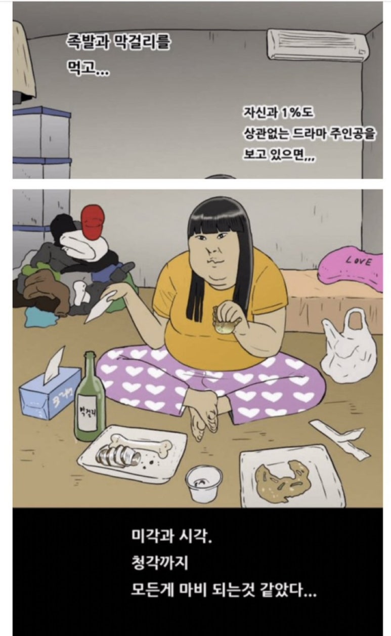 나비도꽃이었다 이미지