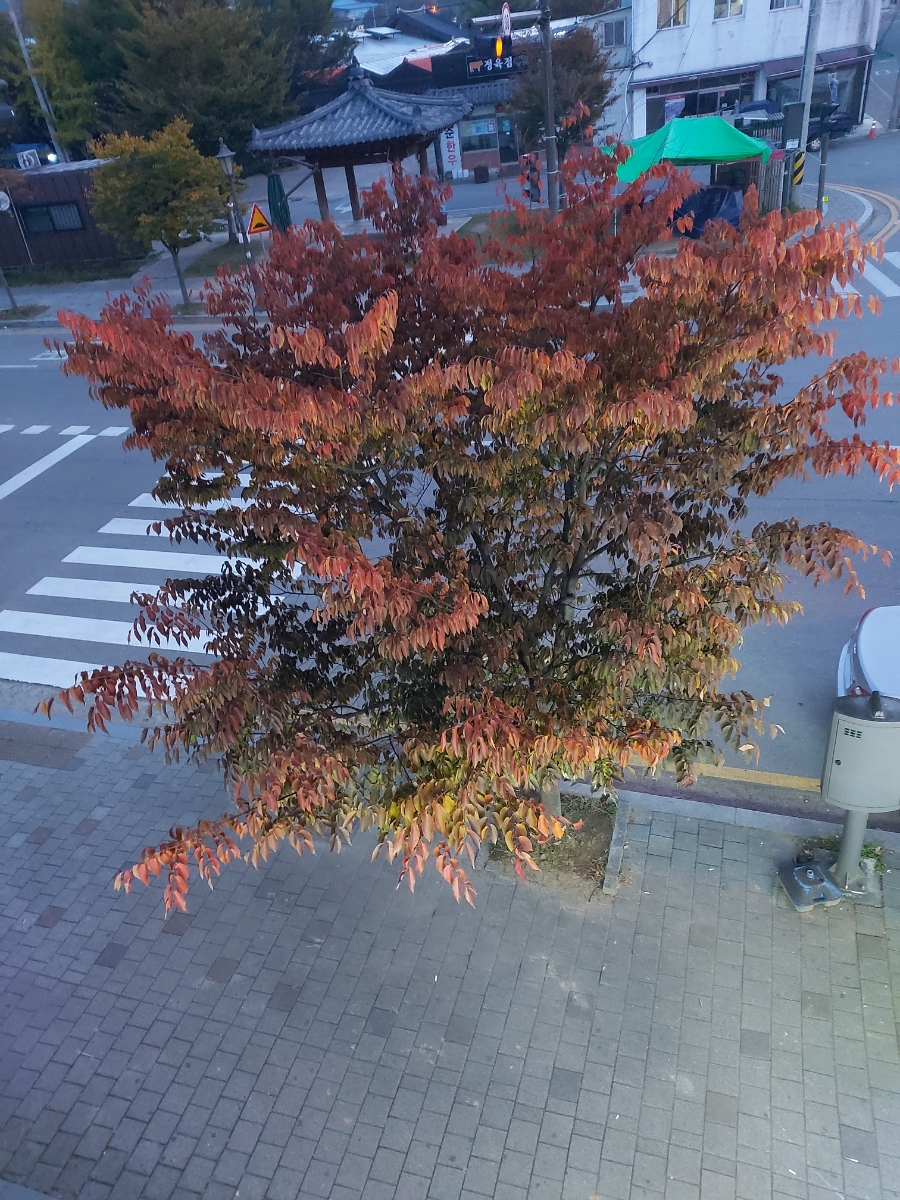 이십사-십일 이미지