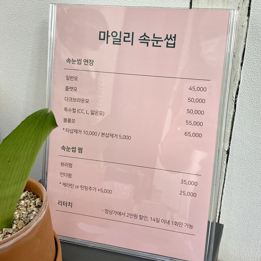 마일리래쉬 이미지