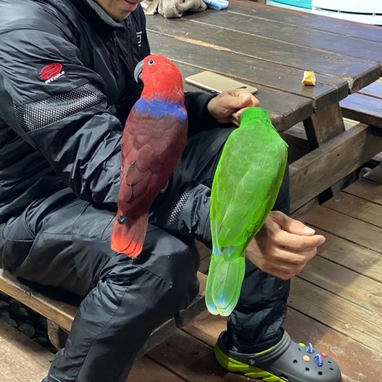 백상어다이빙 리조트 이미지