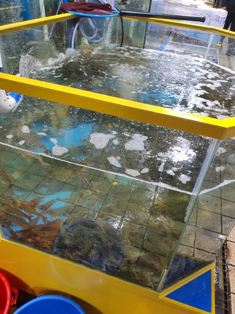 철이네수산 이미지