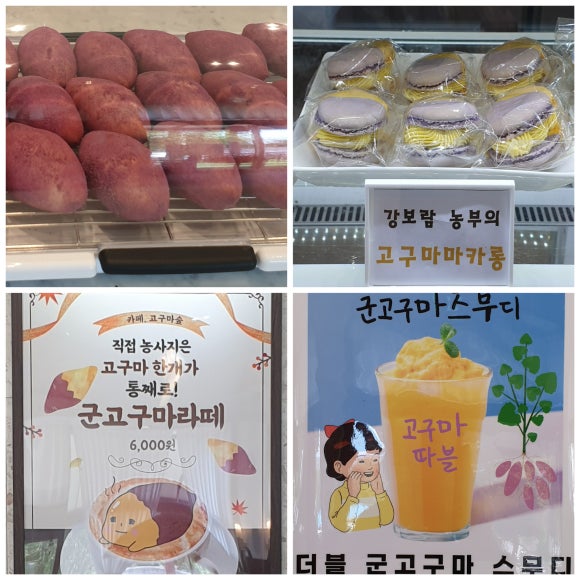 강보람고구마 이미지