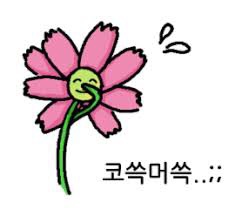 그라티아 글램핑 이미지