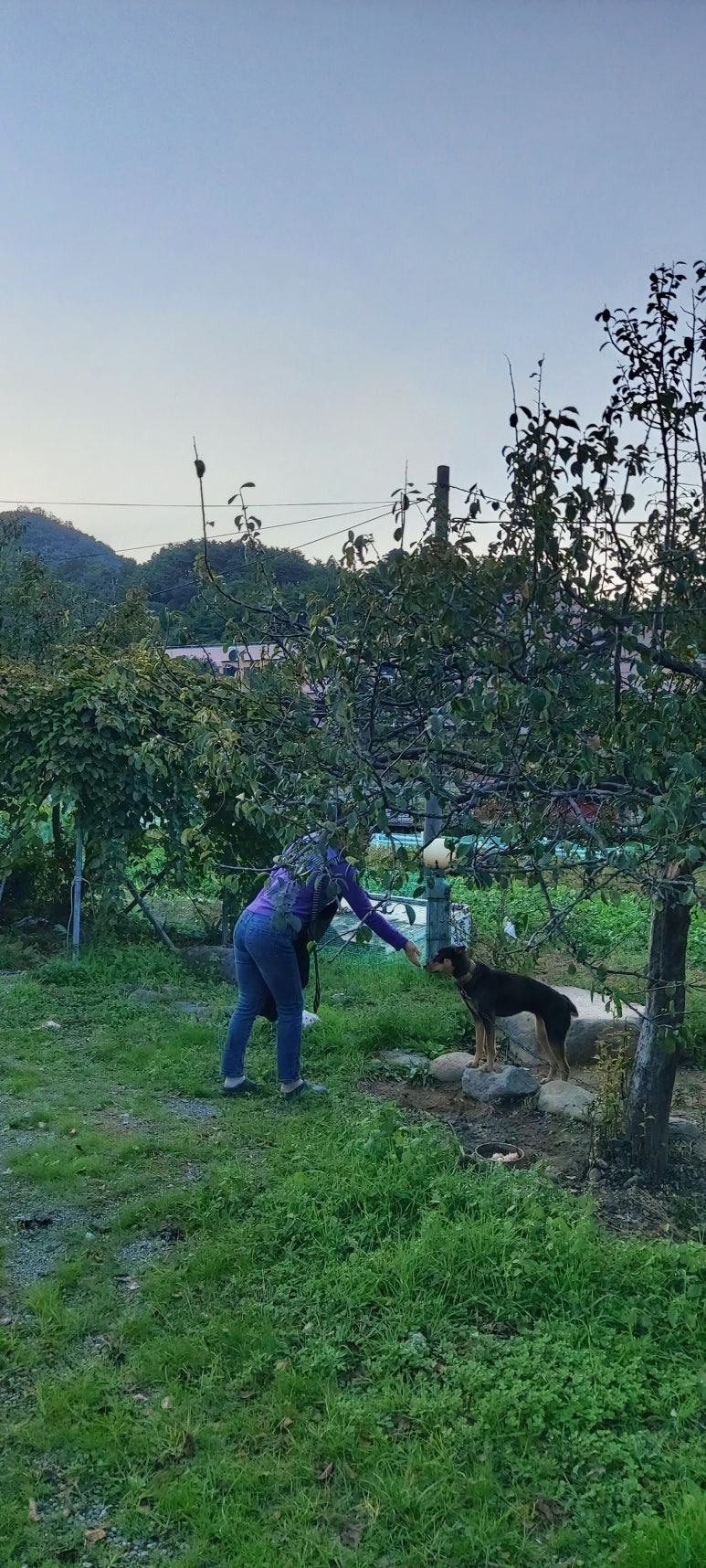 대국만물 이미지