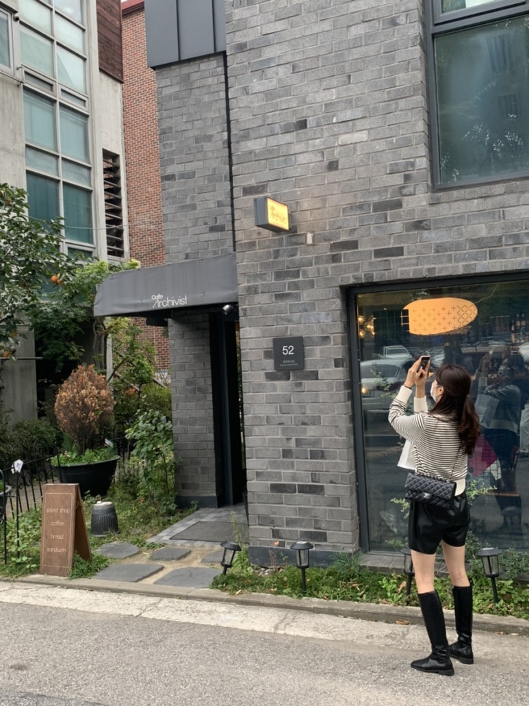 마메드러 이미지