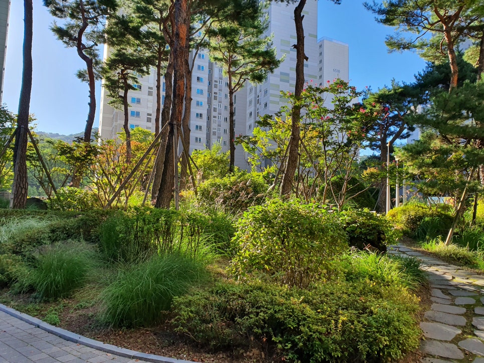 진동이용원 이미지