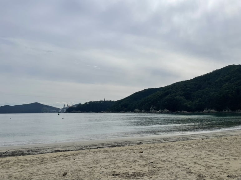 오픈테이블덕포점 이미지