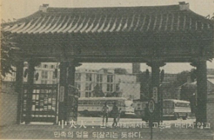 사진첩이야기 이미지