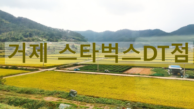 스타벅스 거제대로DT점 이미지