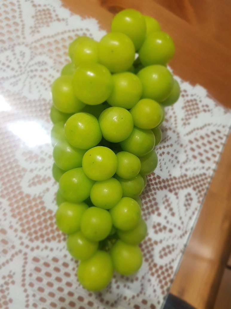 진로마트청과 이미지