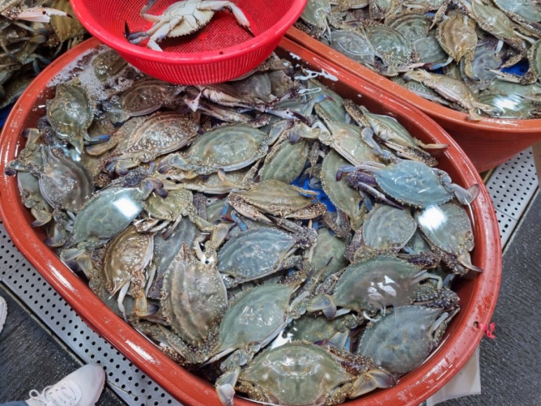 오라버니단골집 이미지