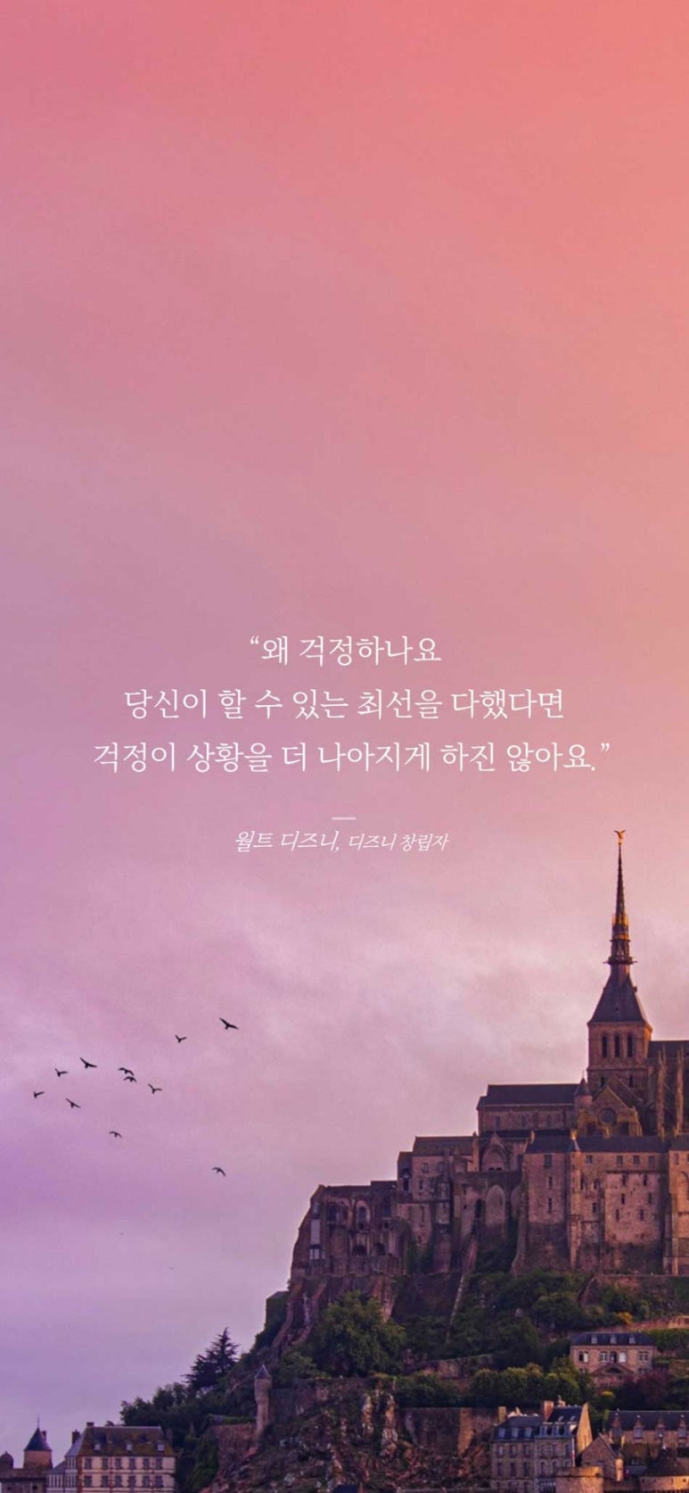 더엠유 이미지
