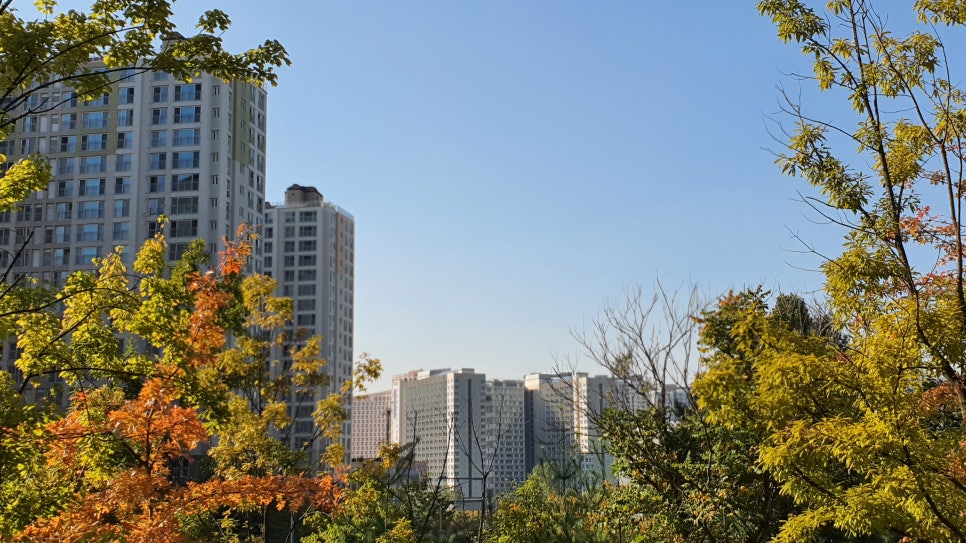 진동이용원 이미지