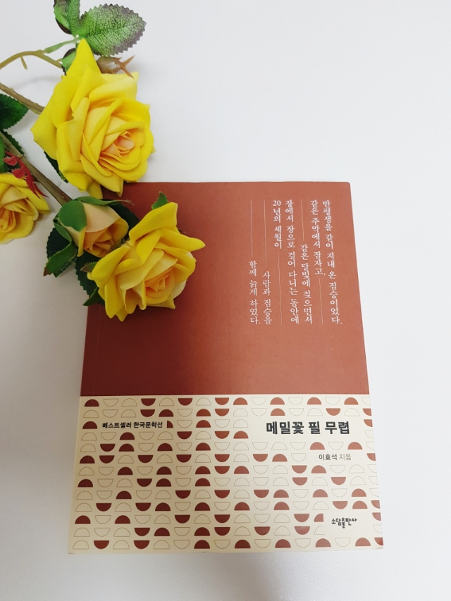 메밀출판사 이미지