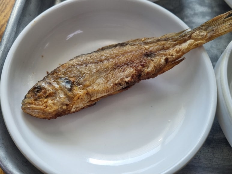 향우백반 이미지