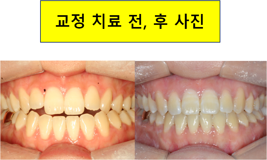 닥터스치과의원 이미지
