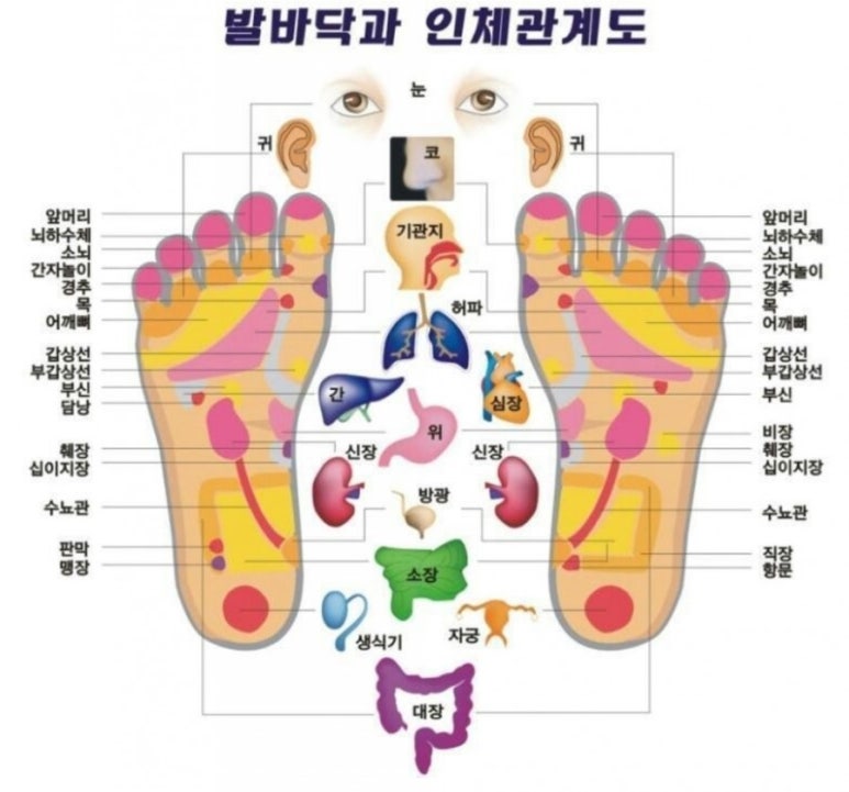 경혈테라피 이미지