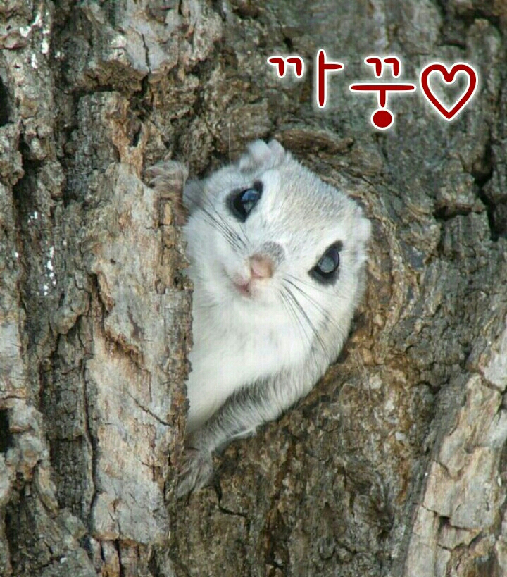 다겸이가구 이미지