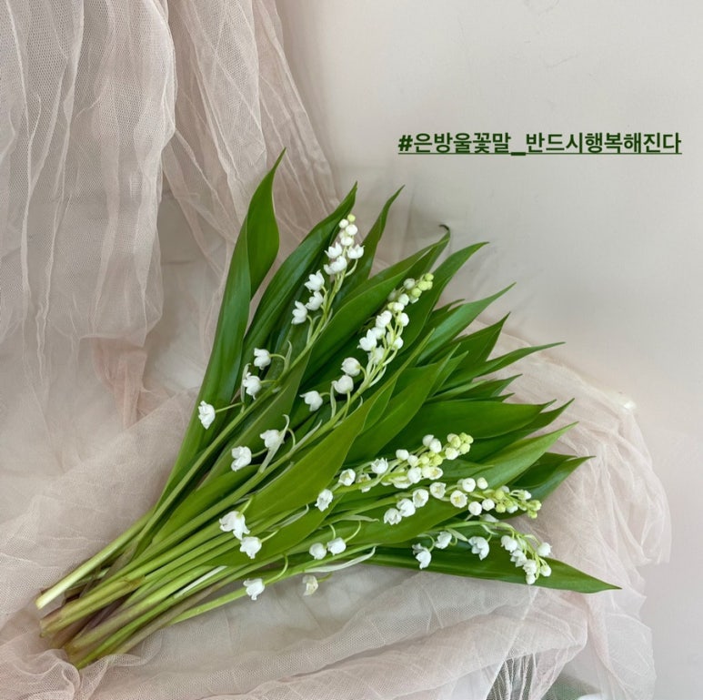 투유플라워스튜디오 이미지