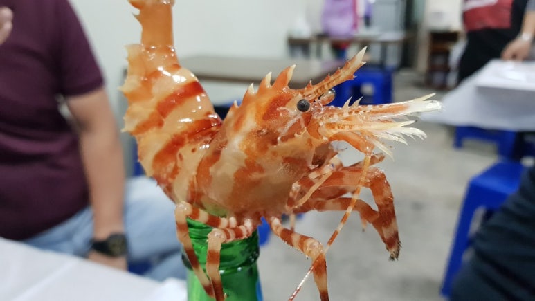 속초간장꽃새우 이미지