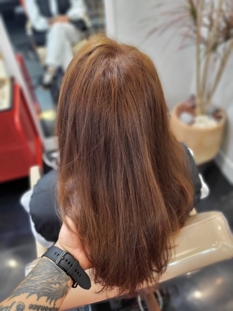 헤어리아 이미지