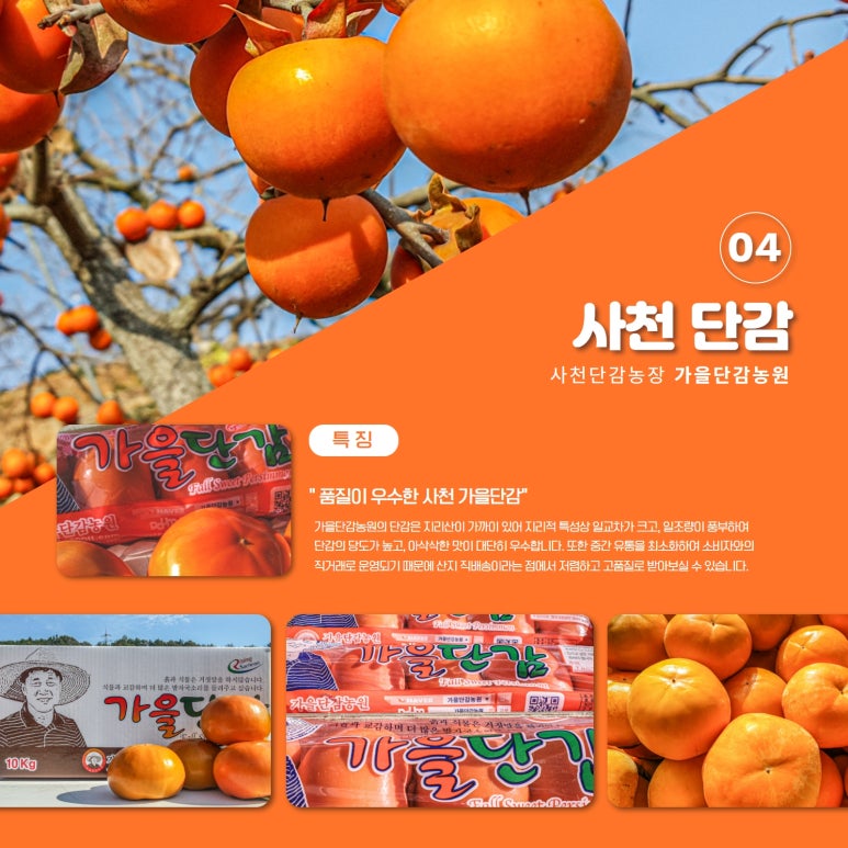 축제라이브 이미지