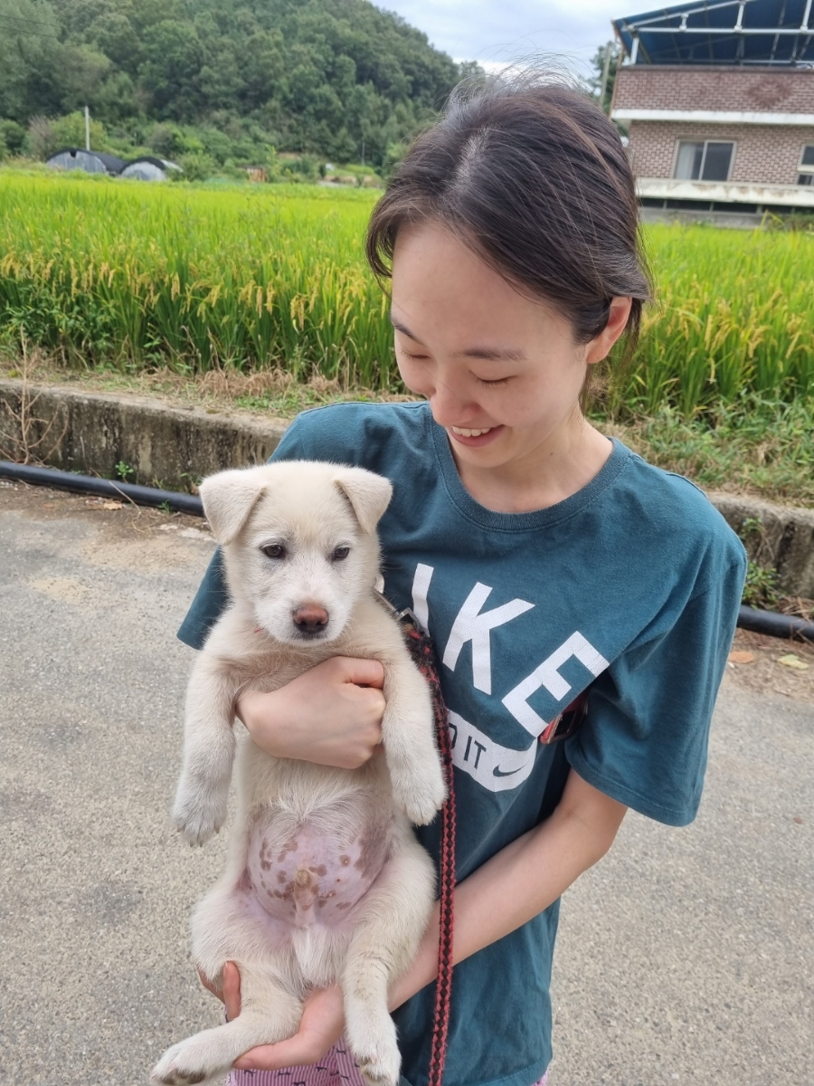 서울혼수집 이미지